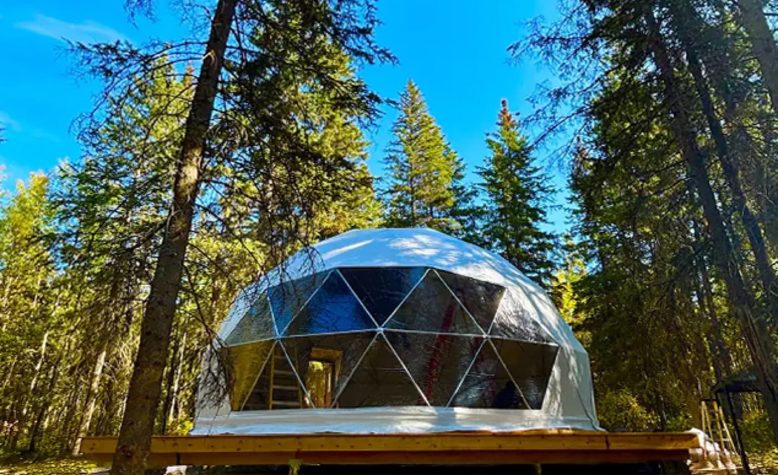 Geodesic dome in a forest landscape