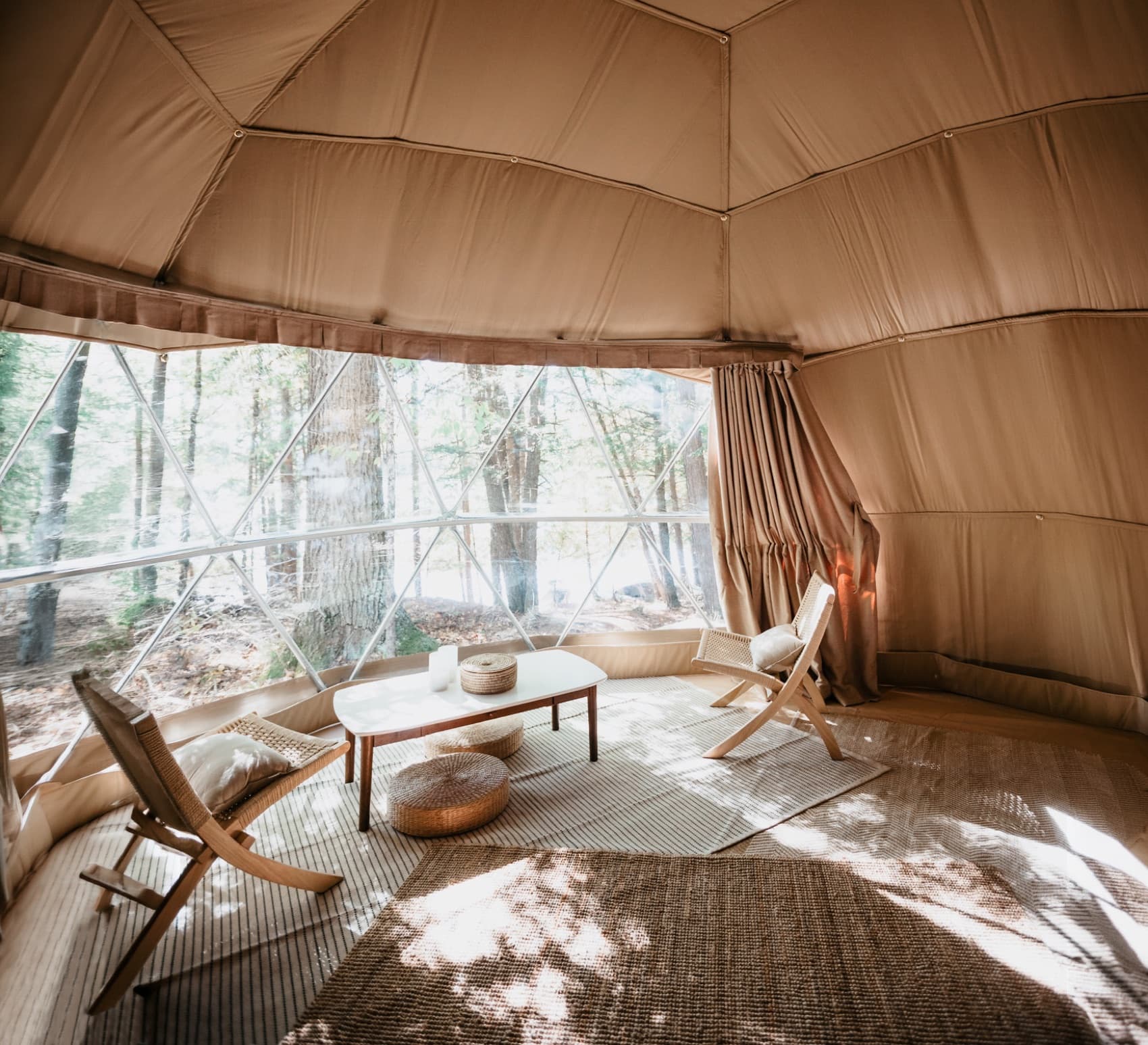 Luna dome interior looking toward the forest