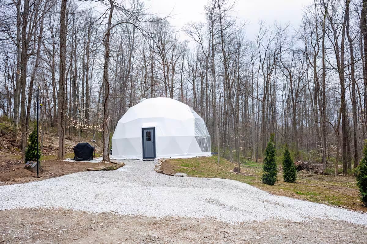 Dome set into a wooded site
